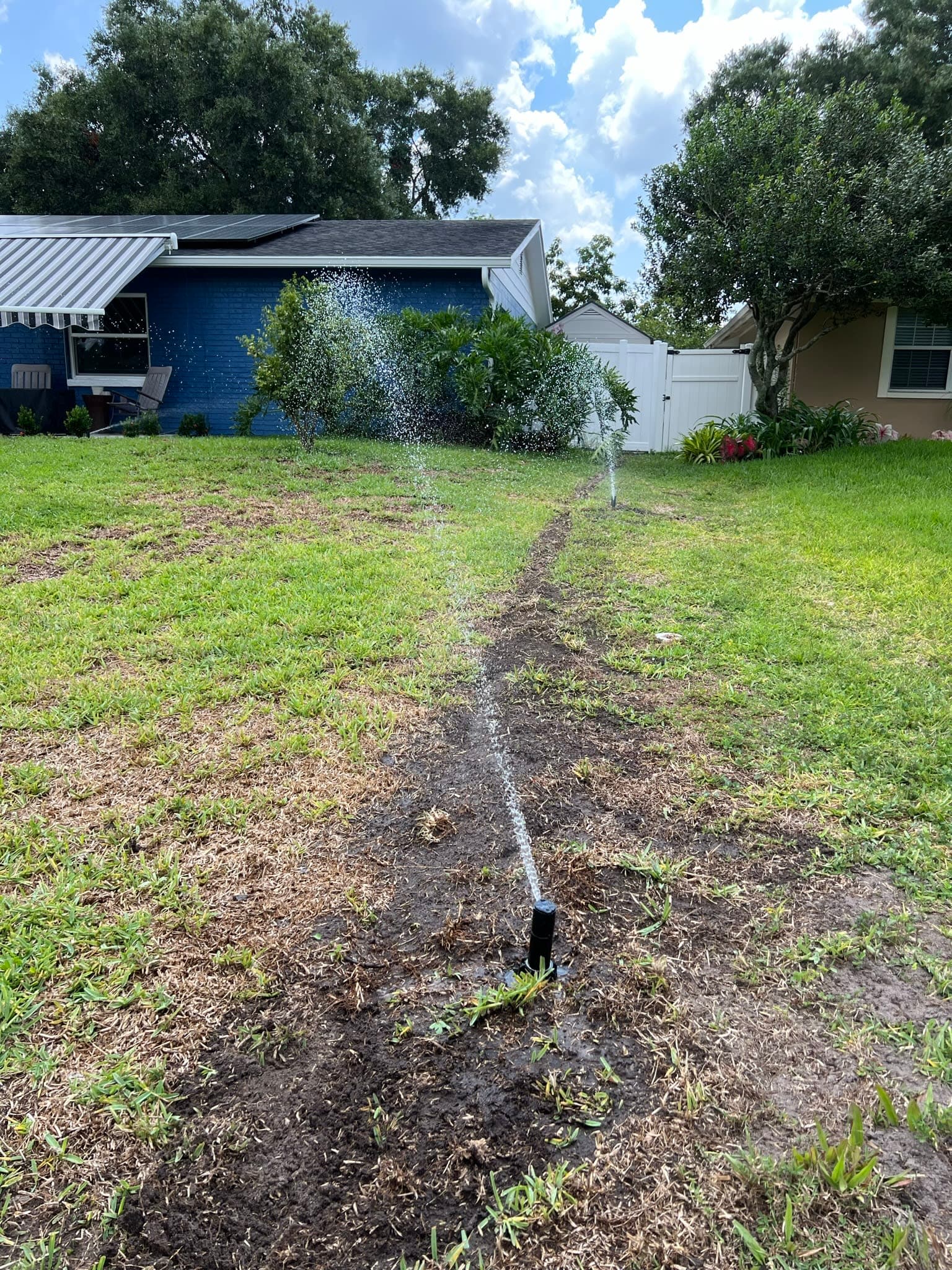 Maximize Your Lake's Potential With Professional Maintenance