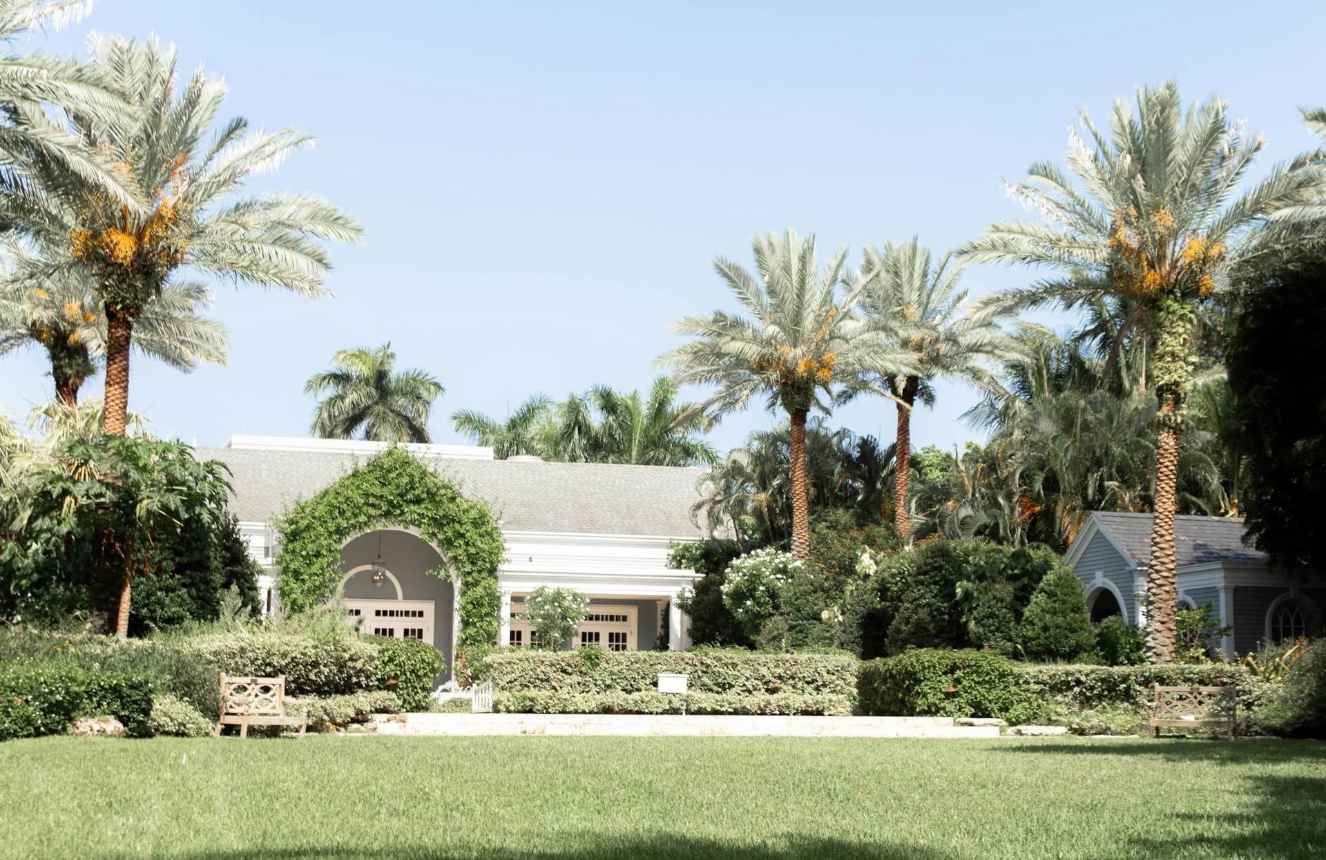 Florida outdoor landscape with palms